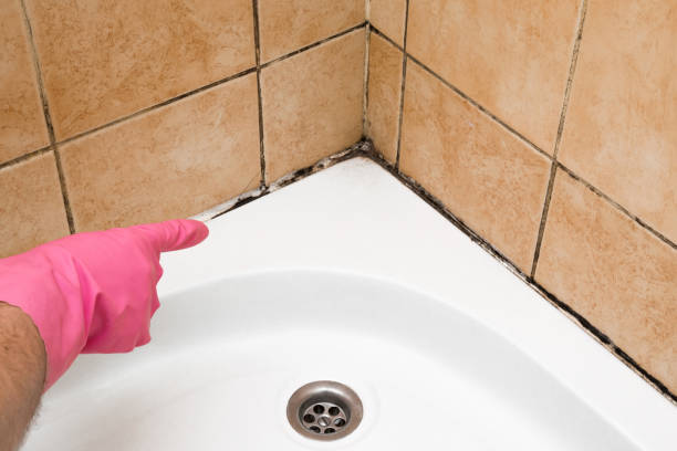 Best Emergency Mold Removal  in St Helens, OR